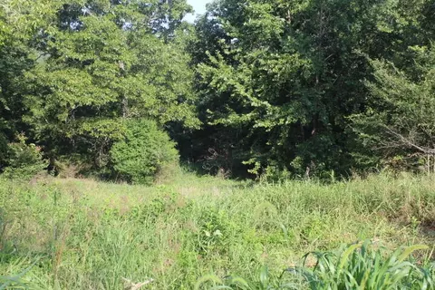 000 000 County Road 551, Tecumseh, MO 65760 photo 4