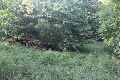 000 000 County Road 551, Tecumseh, MO 65760 photo 12