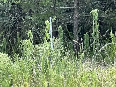 000 Lazy Acres Rd #LOT 6 & 7, Protem, MO 65733 photo 9