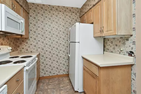 301 Woodson Rd, Branson, MO 65616 photo 20