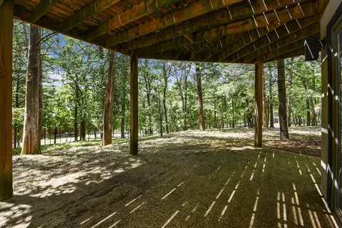 301 Woodson Rd, Branson, MO 65616 photo 56