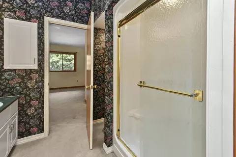 301 Woodson Rd, Branson, MO 65616 photo 40