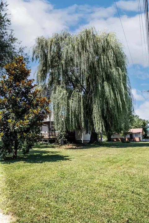 228 E Bedford St, Marshfield, MO 65706 photo 7