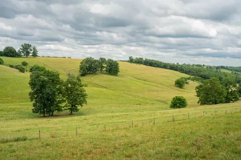 Other - 15576 State Highway 76, Ava, MO 65608 photo 56 of 84