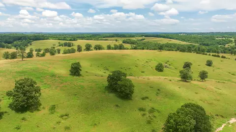 Other - 15576 State Highway 76, Ava, MO 65608 photo 64 of 84