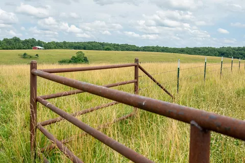 Other - 15576 State Highway 76, Ava, MO 65608 photo 80 of 84
