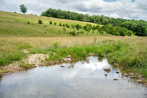 View/Area - 15576 State Highway 76, Ava, MO 65608 photo 3 of 5