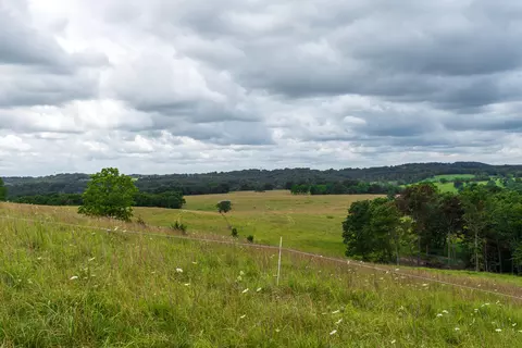 Other - 15576 State Highway 76, Ava, MO 65608 photo 71 of 84