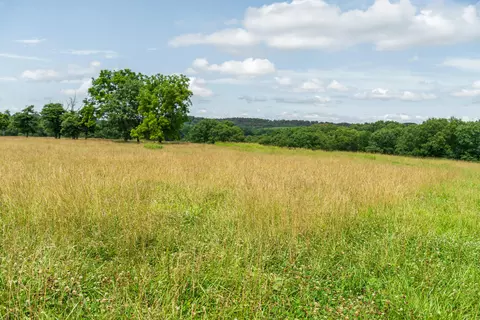Other - 15576 State Highway 76, Ava, MO 65608 photo 41 of 84
