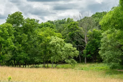 Other - 15576 State Highway 76, Ava, MO 65608 photo 54 of 84