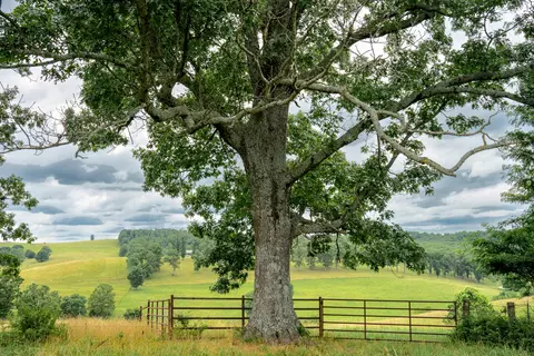 Other - 15576 State Highway 76, Ava, MO 65608 photo 84 of 84