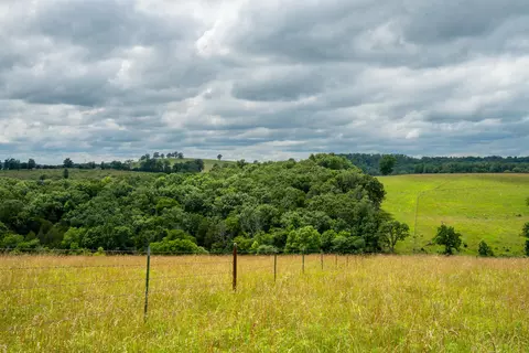 Other - 15576 State Highway 76, Ava, MO 65608 photo 83 of 84