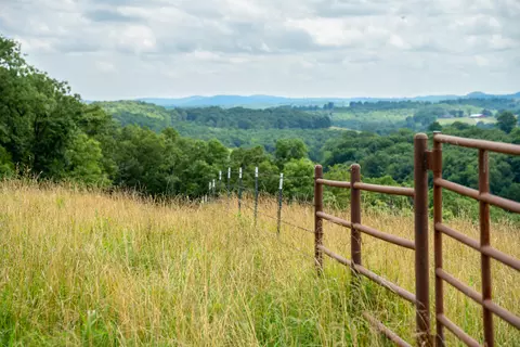 Other - 15576 State Highway 76, Ava, MO 65608 photo 81 of 84
