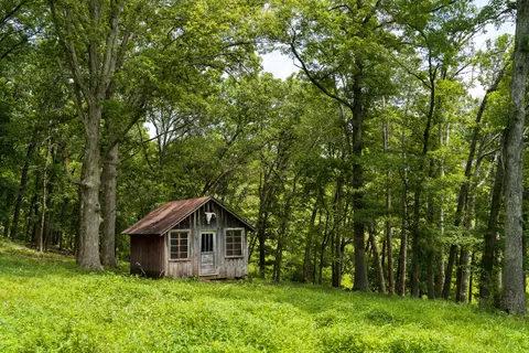 Other - 15576 State Highway 76, Ava, MO 65608 photo 75 of 84