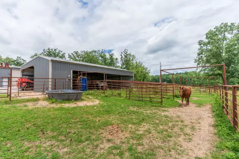 Exterior - 15576 State Highway 76, Ava, MO 65608 photo 7 of 12