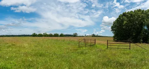 Other - 15576 State Highway 76, Ava, MO 65608 photo 43 of 84
