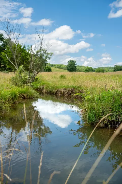 View/Area - 15576 State Highway 76, Ava, MO 65608 photo 4 of 5