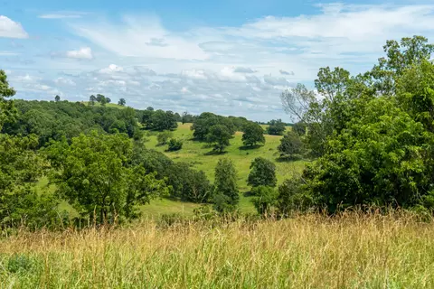 Other - 15576 State Highway 76, Ava, MO 65608 photo 45 of 84