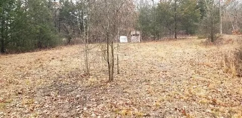 000 Meadowview Rd, Galena, MO 65656 photo 5