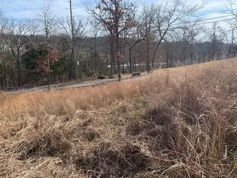 lot1 Cedar Landing Subdivision, Branson, MO 65616 photo 4