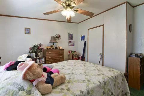 224 S Millstone St, Shell Knob, MO 65747 photo 22