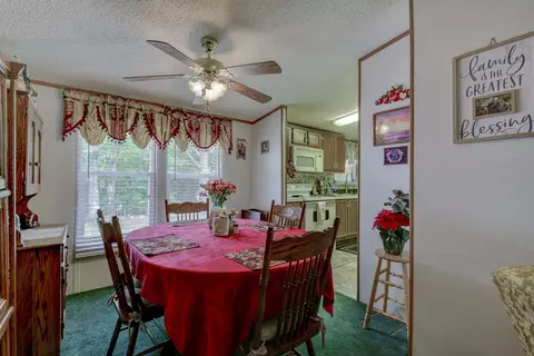 224 S Millstone St, Shell Knob, MO 65747 photo 18