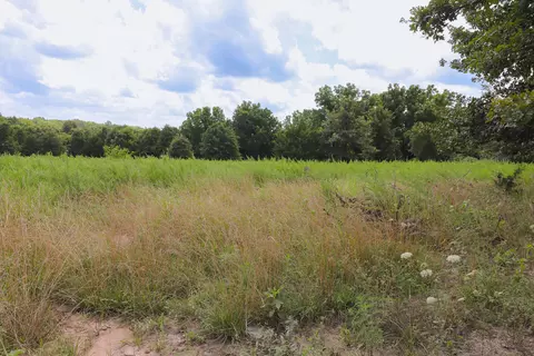 000 E Dade 132, Everton, MO 65646 photo 14