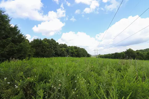000 E Dade 132, Everton, MO 65646 photo 15