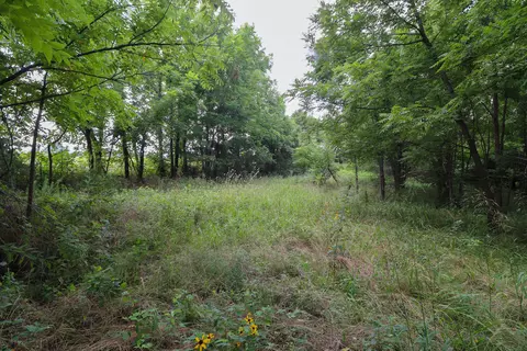 000 E Dade 132, Everton, MO 65646 photo 13