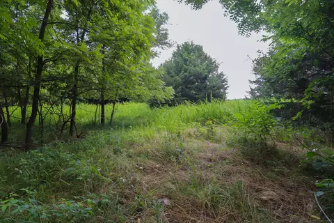 000 E Dade 132, Everton, MO 65646 photo 12