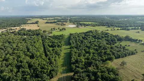 000 E Dade 132, Everton, MO 65646 photo 23