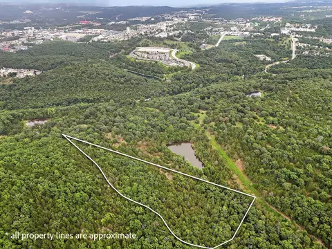 tbd State Hwy 265, Branson, MO 65616 photo 3