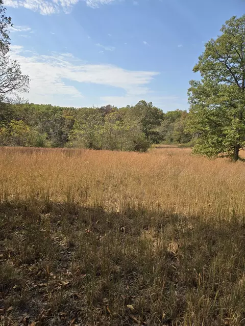 lot16 Arden Rdg, Ava, MO 65608