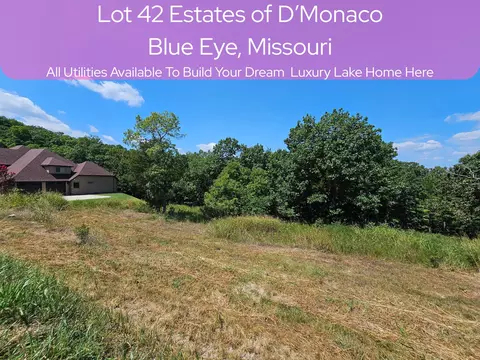 lot42 Valencia Ct, Blue Eye, MO 65611