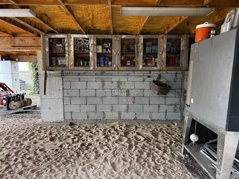 Exterior - 201 Thomas St, Birch Tree, MO 65438 photo 15 of 15