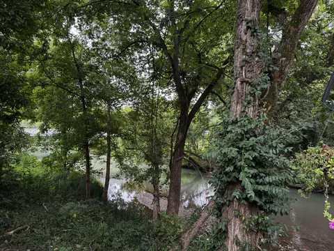 View/Area - 201 Thomas St, Birch Tree, MO 65438 photo 4 of 5