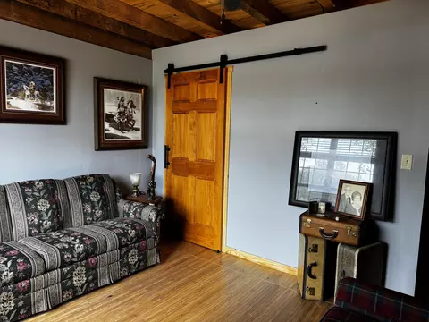 Living - 201 Thomas St, Birch Tree, MO 65438 photo 7 of 7
