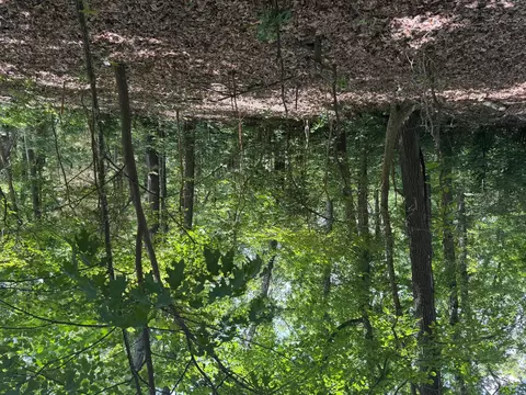 000 Twin Springs Dr, Cassville, MO 65625