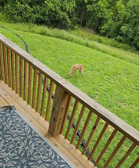 427 Maynard Rd, Nixa, MO 65714 photo 33