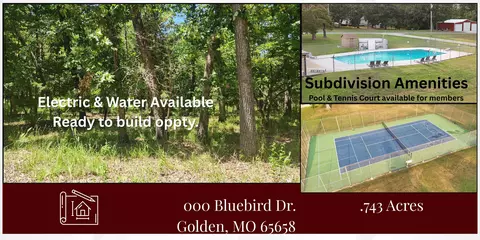 000 Bluebird Dr, Golden, MO 65658