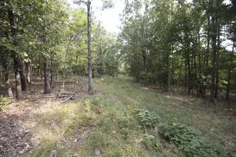 Tract 3b Route 4, Squires, MO 65755 photo 7