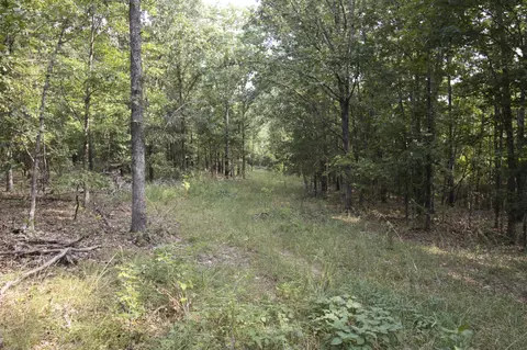 Tract 3b Route 4, Squires, MO 65755 photo 8