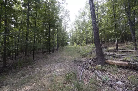 Tract 3b Route 4, Squires, MO 65755 photo 6