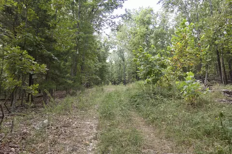 Tract 3b Route 4, Squires, MO 65755 photo 5