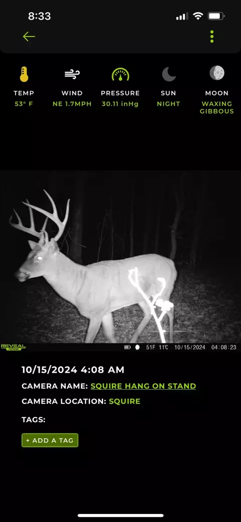 Tract 3b Route 4, Squires, MO 65755 photo 13