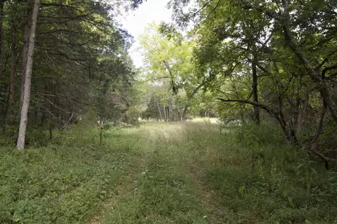 Tract 3b Route 4, Squires, MO 65755 photo 4