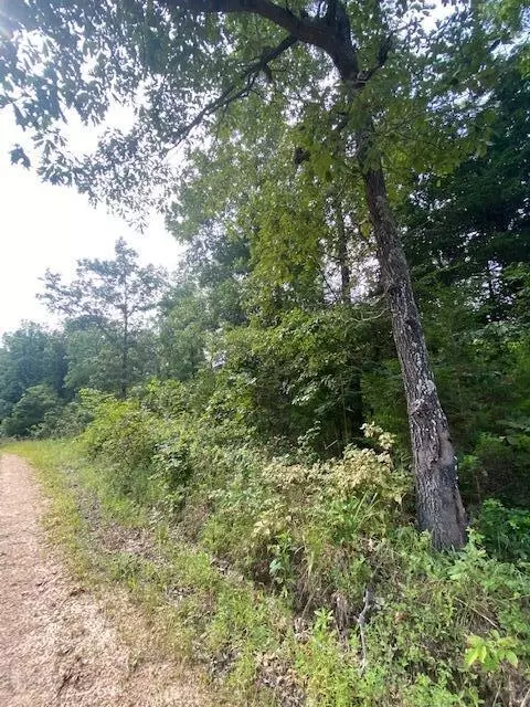tbd County Road 355 #LOT 19, Dora, MO 65637 photo 2