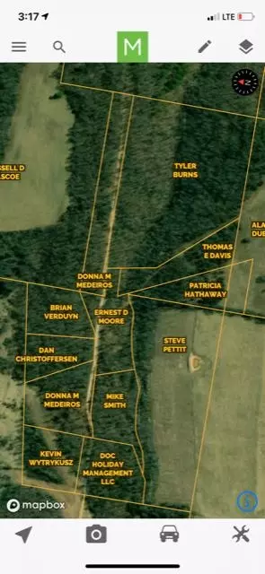 tbd County Road 355 #LOT 19, Dora, MO 65637 photo 6