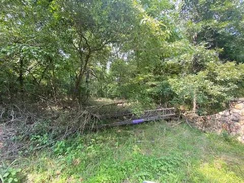 tbd County Road 355 #LOT 19, Dora, MO 65637 photo 12