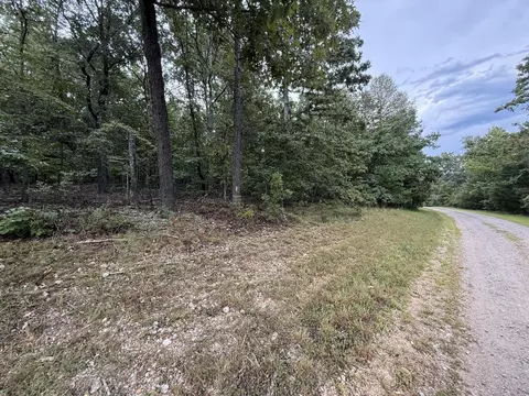 000 Private Road 2532, Mountain View, MO 65548 photo 3